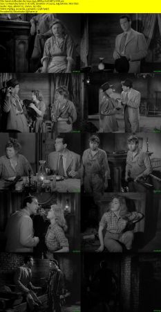 Murder He Says 1945 BRRip XviD MP3-XVID