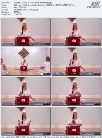 The Collective Yoga - Allow The Flow From The Heart