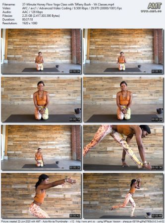 Yogi Approved -  Honey Flow 