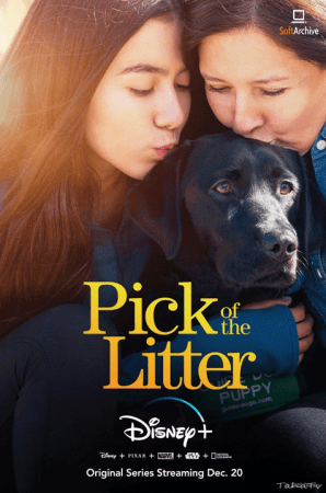Pick Of The Litter S01 720p DSNP WEBRip x264-GalaxyTV