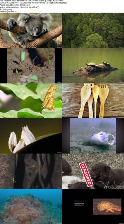 Absurd Planet S01 720p NF WEBRip x264-GalaxyTV
