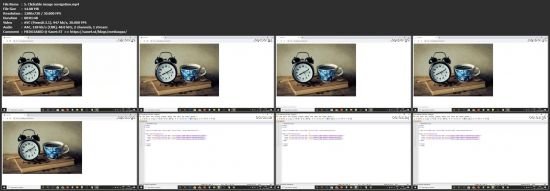 Learn Website design and development from scratch