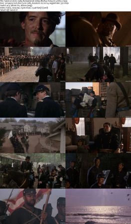 Denzel Washington Movies Pack 1080p BluRay H264 AC3 DD Will1869