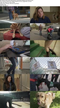 Pick Of The Litter S01 720p DSNP WEBRip x264-GalaxyTV