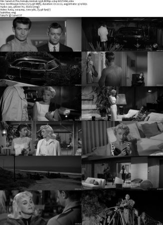 The Female Animal 1958 BDRip x264-WUTANG