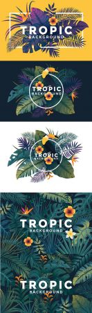 Tropical Backgrounds