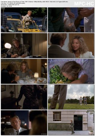 The Prince of Tides 1991 Criterion 1080p BluRay x265 HEVC 10bit AAC 2.0 Tigole QXR