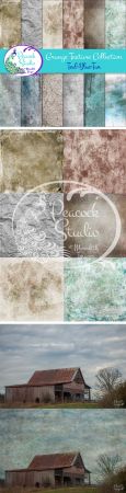 The Grunge Texture Collection   12 Overlays