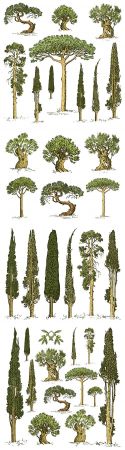 Trees different rocks set of engraved and painted illustrations