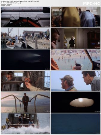 Jaws 1975 2160p 4K BluRay x265 10bit AAC5 1-YTS