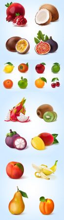 Realistic collection of ripe and tropical fruit illustrations
