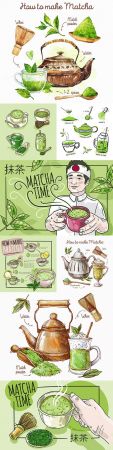 How to brew green tea match collection illustration
