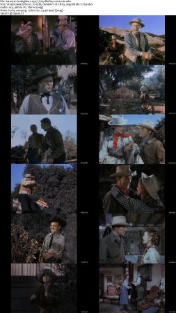 Gunfighters 1947 720p BluRay x264-x0r