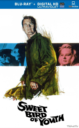 Sweet Bird of Youth 1962 720p BluRay x264-x0r