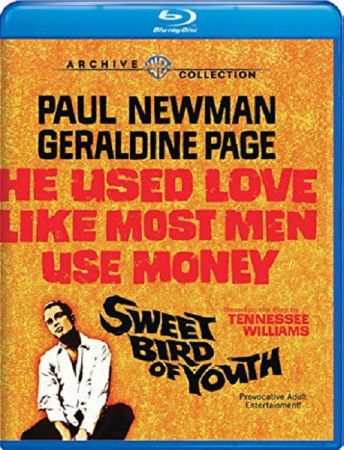 Sweet Bird Of Youth 1962 BRRip XviD MP3-XVID