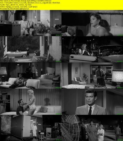 The Female Animal 1958 BRRip XviD MP3-XVID