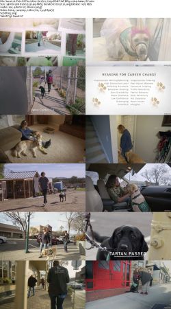 Pick Of The Litter S01 720p DSNP WEBRip x264-GalaxyTV