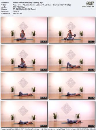 The Collective Yoga - Office Series: Hips