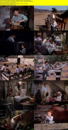 The Red Pony 1949 720p BluRay H264 AAC-RARBG
