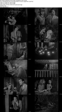 Murder He Says 1945 720p BluRay x264-x0r