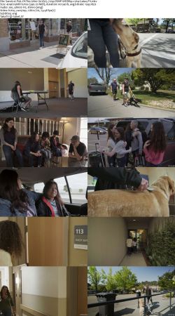 Pick Of The Litter S01 720p DSNP WEBRip x264-GalaxyTV