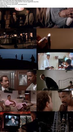 Denzel Washington Movies Pack 1080p BluRay H264 AC3 DD Will1869