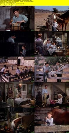 The Red Pony 1949 1080p BluRay H264 AAC-RARBG