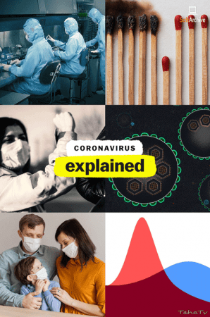 Coronavirus Explained S01 720p WEB x264-MIXED