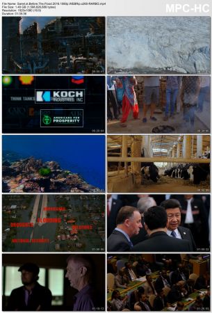 Before The Flood 2016 1080p WEBRip x265-RARBG