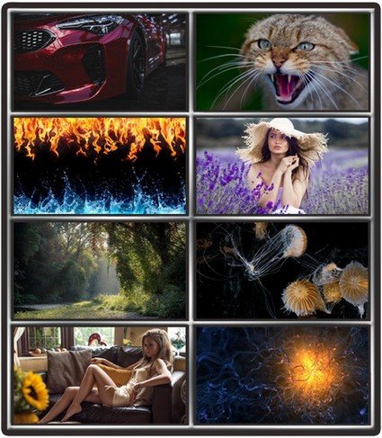 Collection wallpapers to your desktop #809