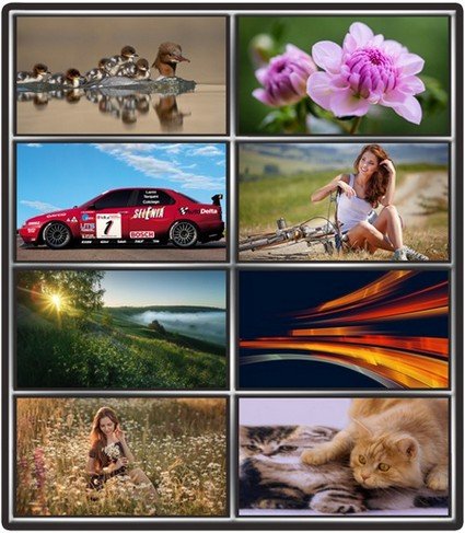 Collection wallpapers to your desktop #815