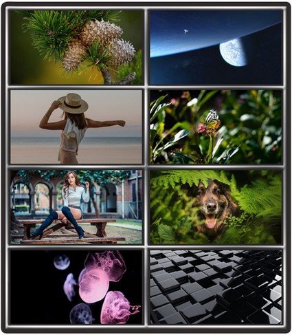 Collection wallpapers to your desktop #807
