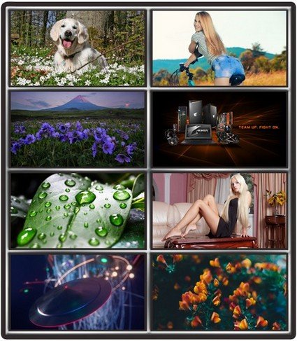 Collection wallpapers to your desktop #819