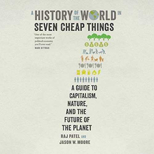 A History of the World in Seven Cheap Things [Audiobook]
