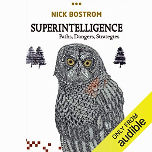 Superintelligence: Paths, Dangers, Strategies (Audiobook)