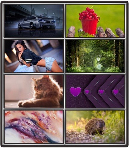 Collection wallpapers to your desktop #827