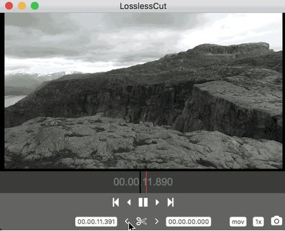 LosslessCut 3.56 for ios instal