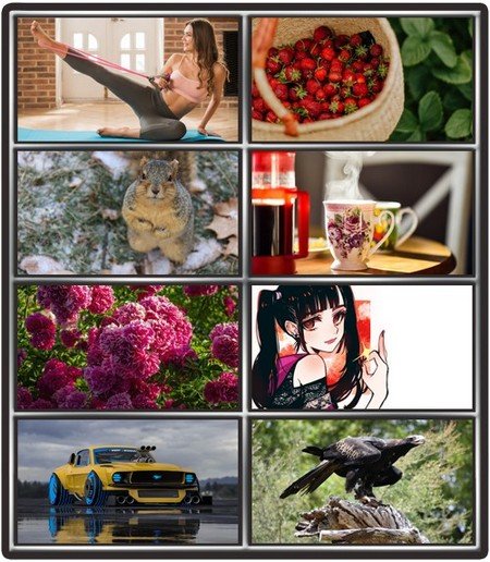 Collection wallpapers to your desktop #806
