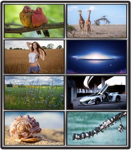 Collection wallpapers to your desktop #820