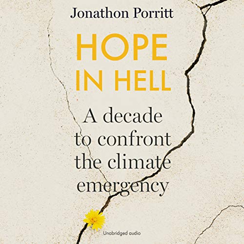 Hope in Hell: A Decade to Confront the Climate Emergency [Audiobook]