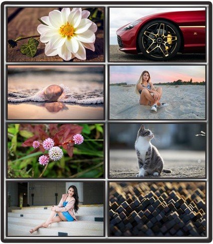 Collection wallpapers to your desktop #818