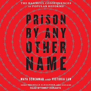 Prison by Any Other Name: The Harmful Consequences of Popular Reforms [Audiobook]