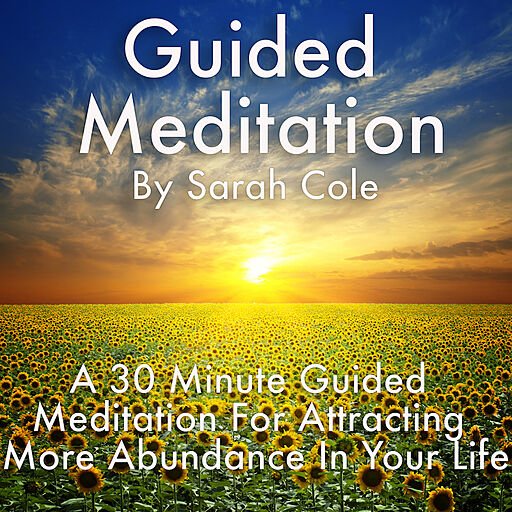Guided Meditation: A 30 Minute Guided Meditation for Attracting More Abundance in Your Life (Audiobook)