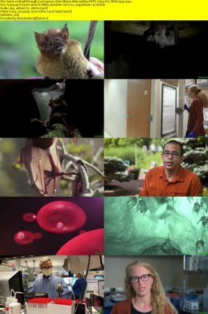 Curiosty TV - Breakthrough: Coronavirus Don't Blame Bats (2020) 1080p HDTV x264 AAC MVGroup