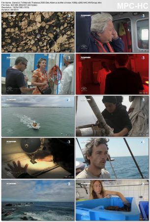 TV5Monde Thalassa - Des Abers à la Mer d'Iroise (2020) 1080p x265 AAC MVGroup