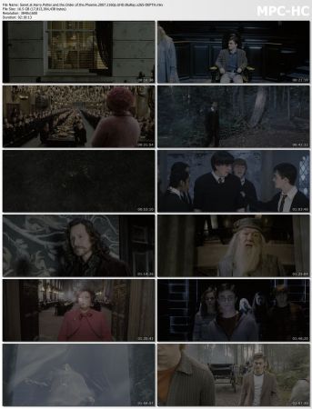 Harry Potter and the Order of the Phoenix 2007 2160p UHD BluRay x265-DEPTH