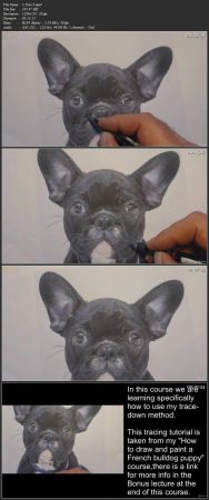 Tracing for drawing and painting a dog portrait how to trace