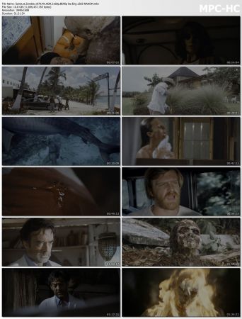 Zombie 1979 4K HDR 2160p BDRip Ita Eng x265-NAHOM