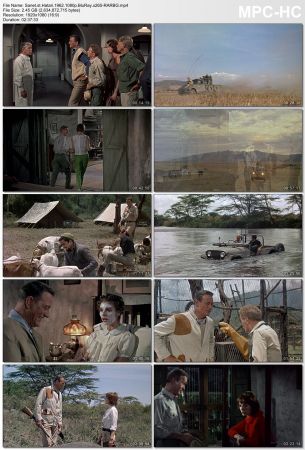 Hatari 1962 1080p BluRay x265-RARBG
