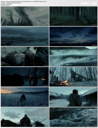 The Revenant 2015 2160p UHD BluRay AAC 7.1 HEVC x265-TheSource